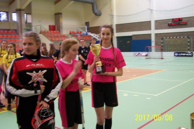 fin 17
